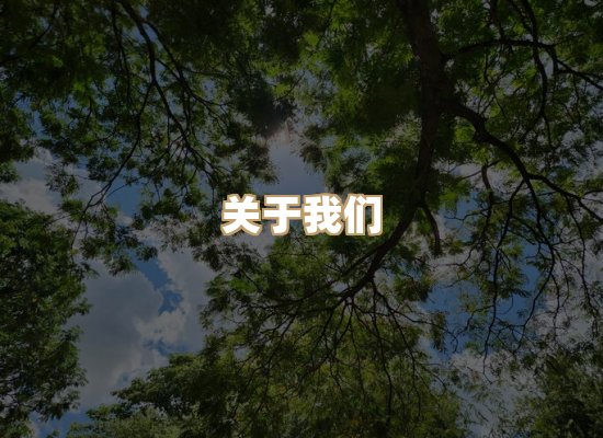 关于华净工业防尘平台